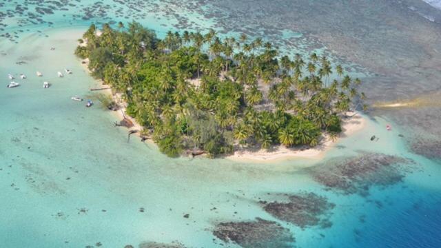Pension Hibiscus Tahaa Uturoa Экстерьер фото